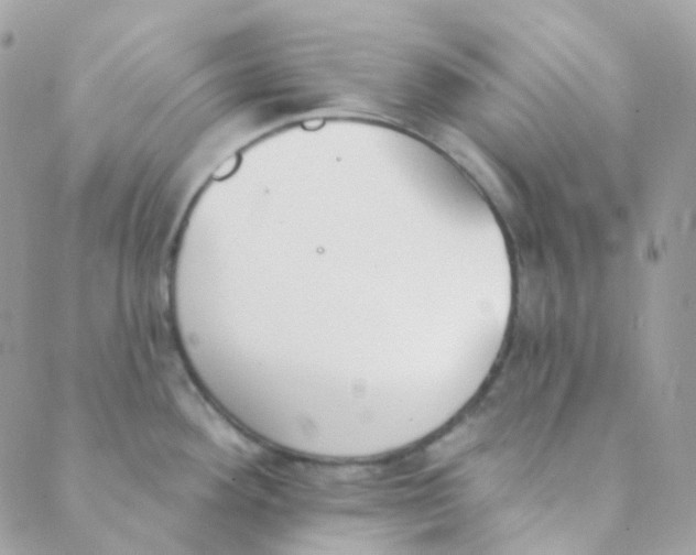 X0000089421292200707061309