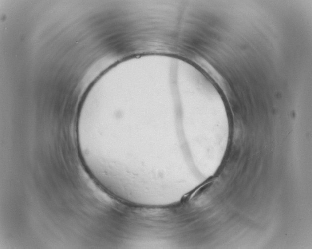 X0000089421293200707061309