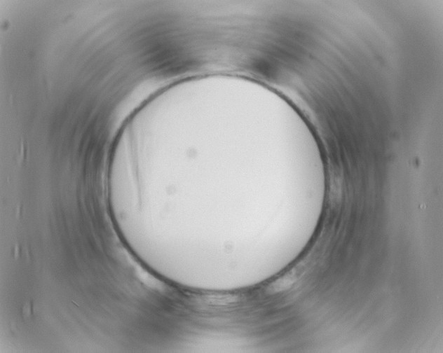 X0000089421294200707061309