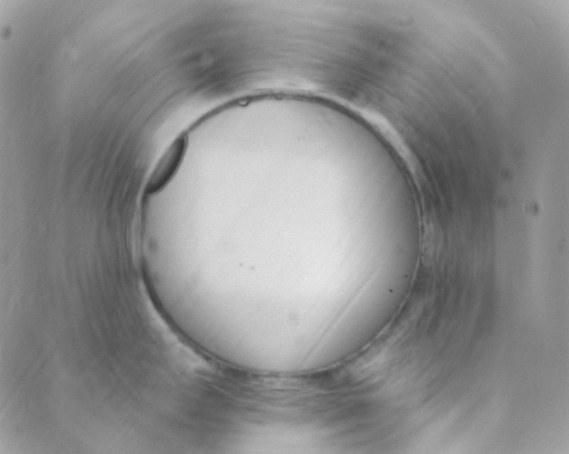 X0000089421295200707061309