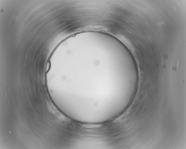 X0000089421296200707061309