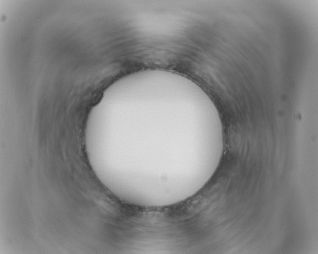 X0000089421297200707061308