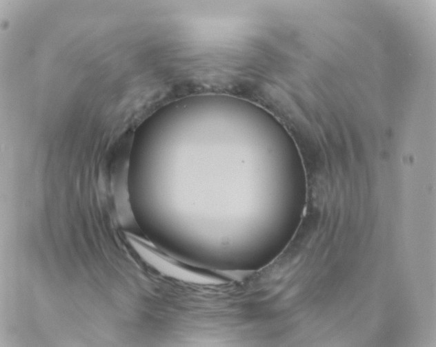 X0000089421298200707061309