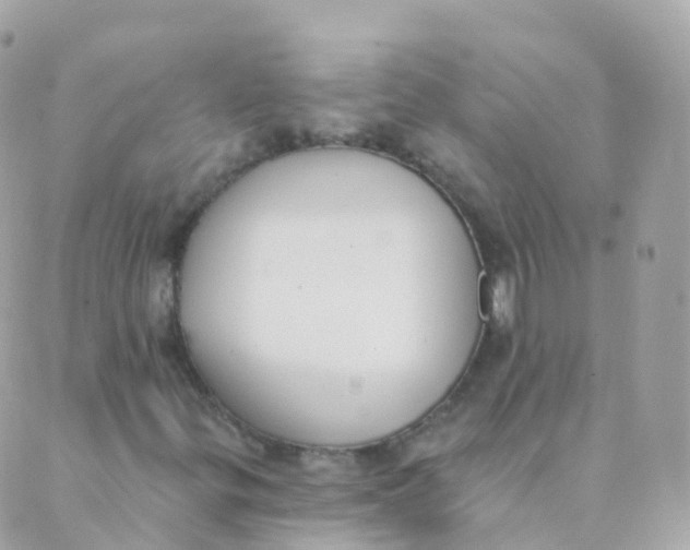 X0000089421299200707061309