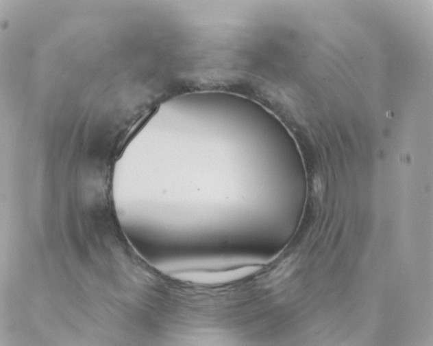 X0000089421300200707061309