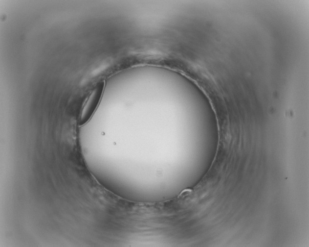 X0000089421301200707061309