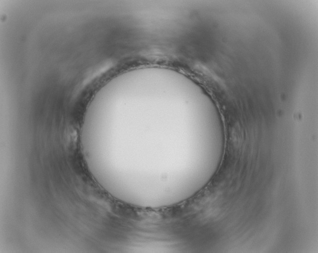 X0000089421302200707061309