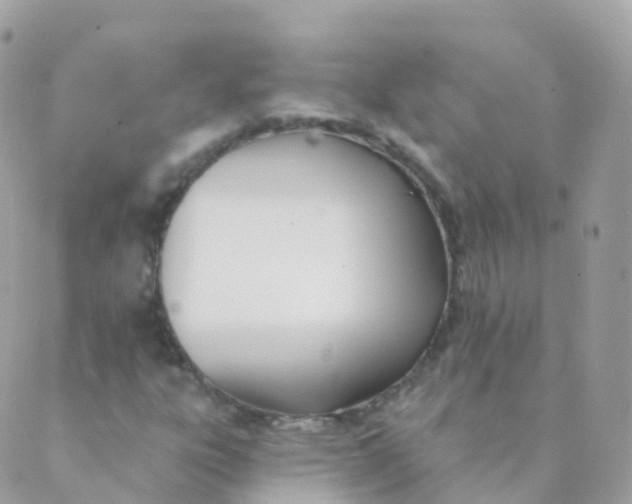 X0000089421303200707061309