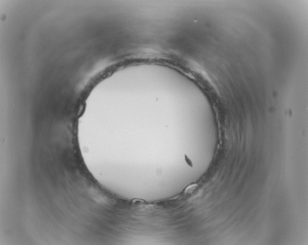 X0000089421304200707061309