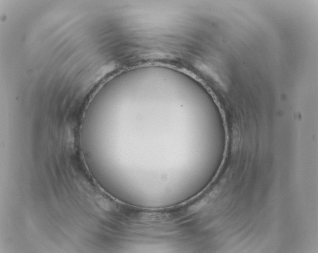 X0000089421305200707061309