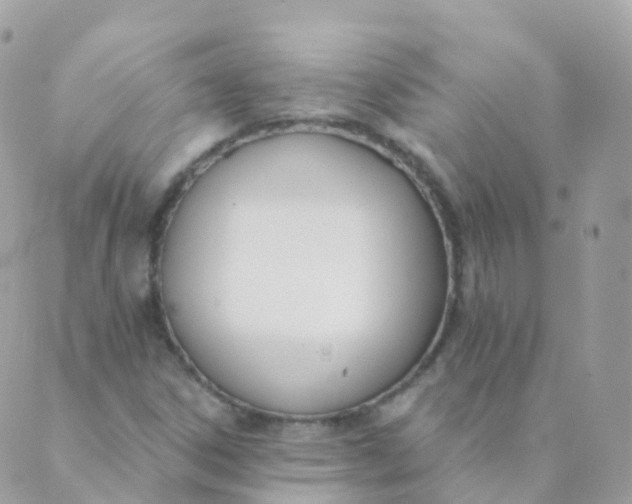 X0000089421306200707061309