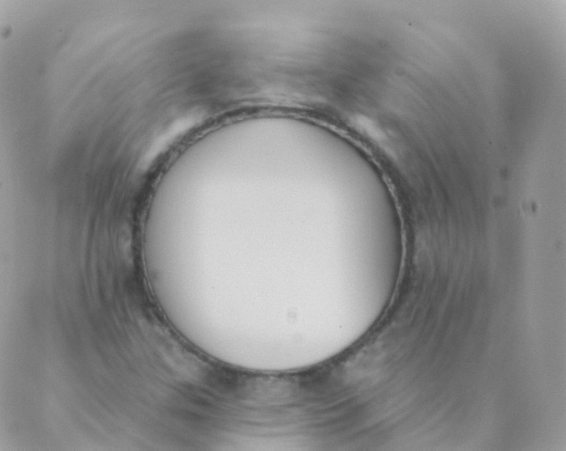 X0000089421307200707061309