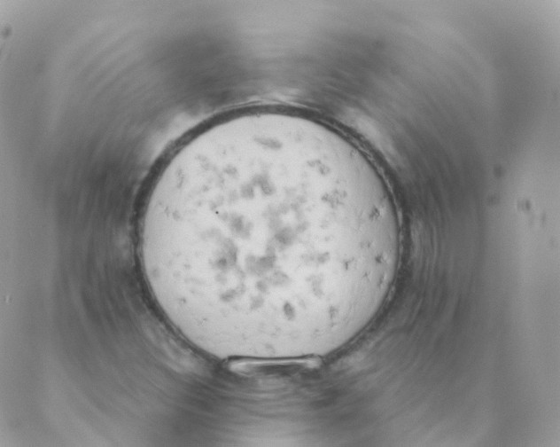 X0000089421308200707061309