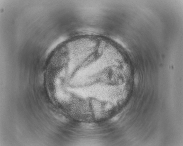 X0000089421309200707061309