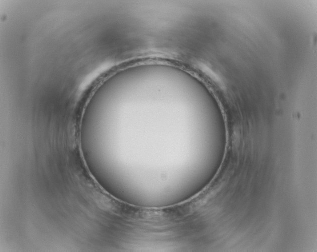 X0000089421310200707061309