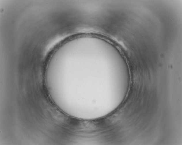 X0000089421311200707061309