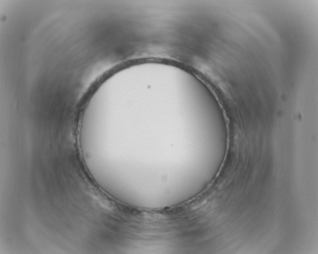 X0000089421312200707061309