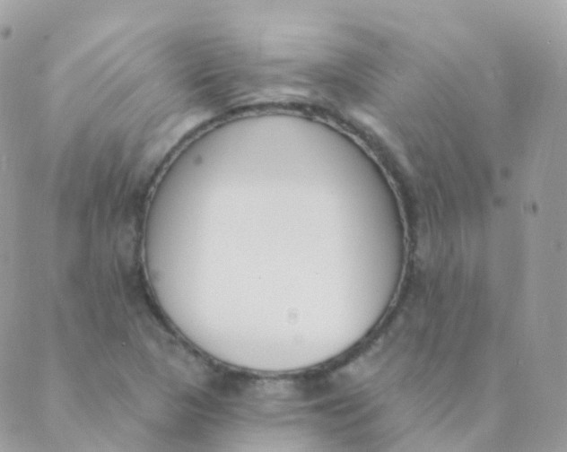 X0000089421313200707061309