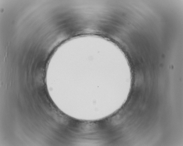 X0000089421314200707061309