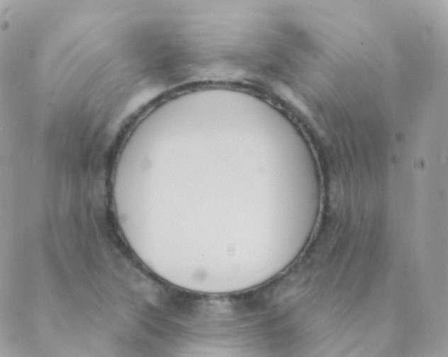 X0000089421315200707061309