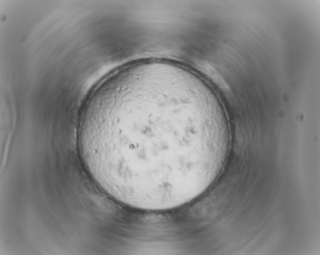 X0000089421316200707061309