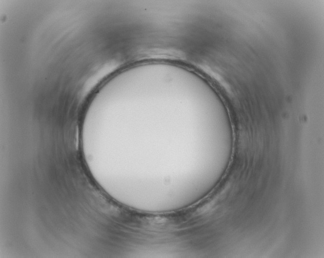 X0000089421317200707061309