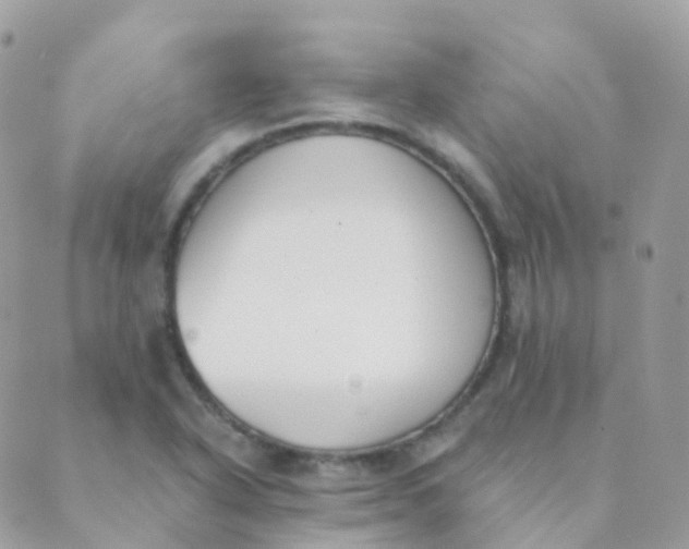 X0000089421318200707061309