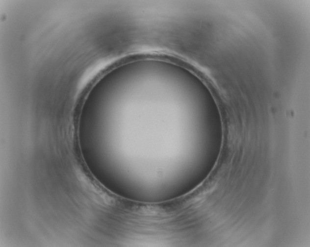 X0000089421319200707061309