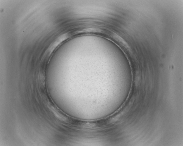 X0000089421321200707061309