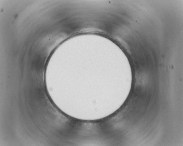 X0000089421322200707061309