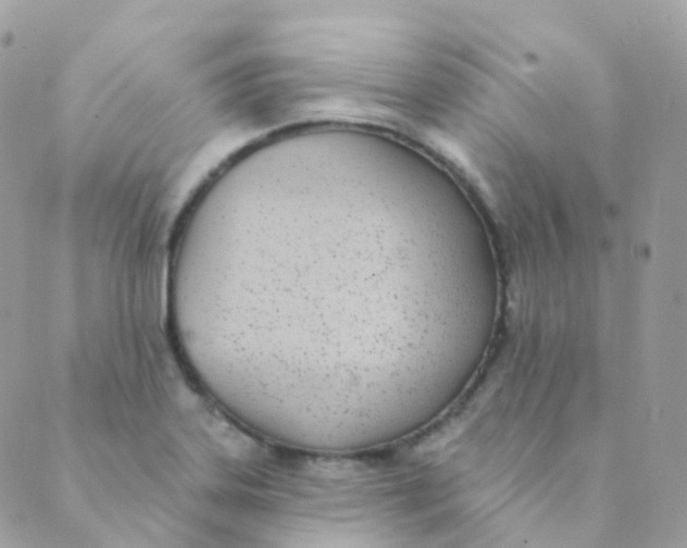 X0000089421323200707061309