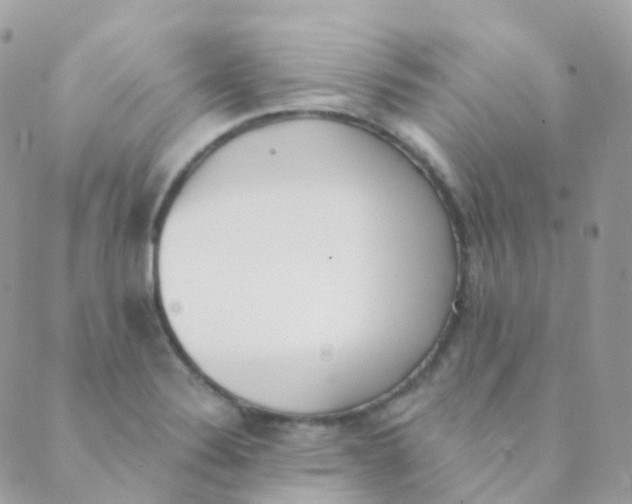 X0000089421324200707061309