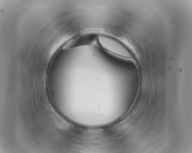 X0000089421325200707061309