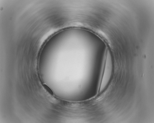 X0000089421326200707061309