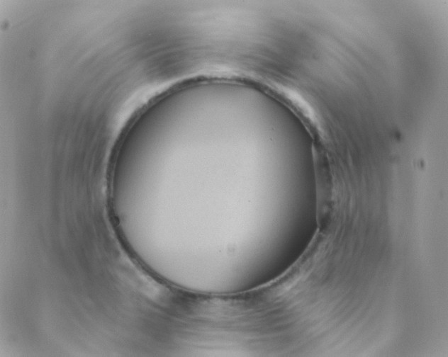 X0000089421327200707061309