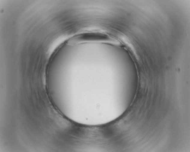 X0000089421328200707061309