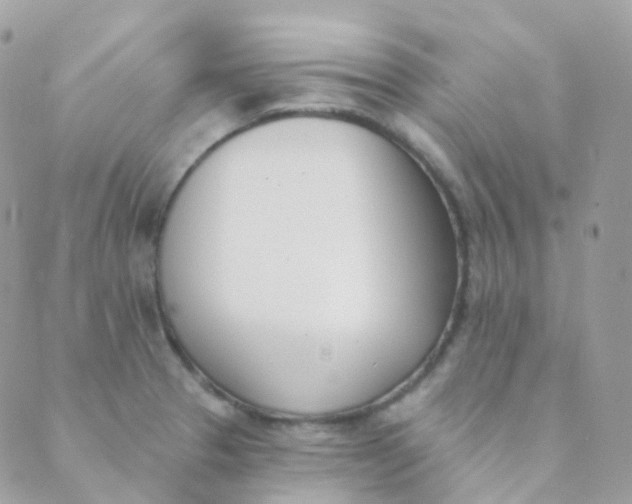 X0000089421329200707061309