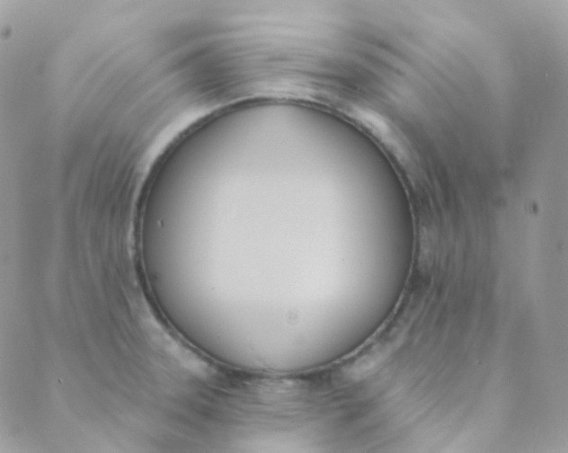 X0000089421331200707061309