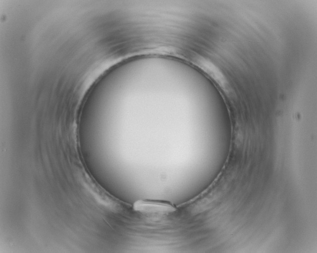 X0000089421332200707061309