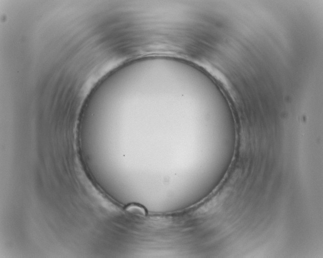 X0000089421333200707061309