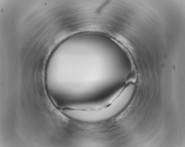 X0000089421334200707061309