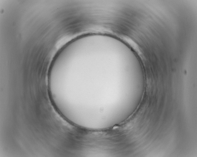 X0000089421335200707061309