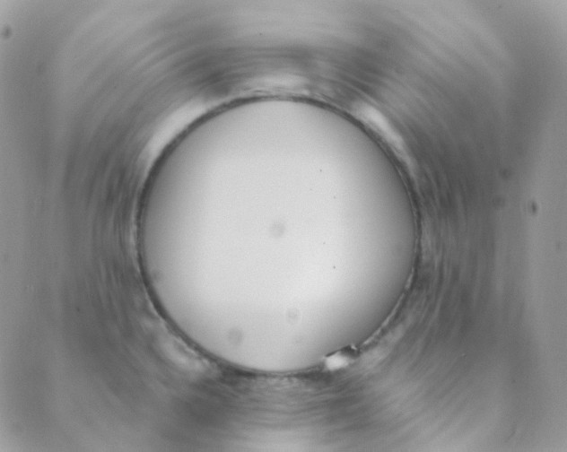 X0000089421336200707061309