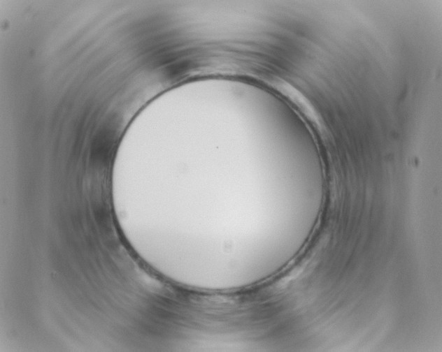 X0000089421337200707061309