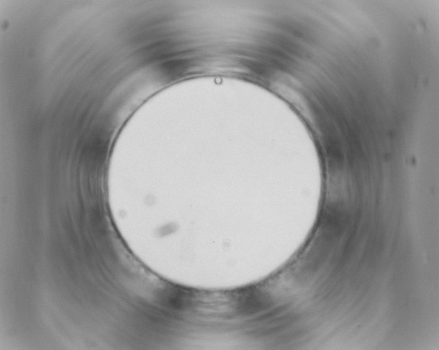 X0000089421338200707061309