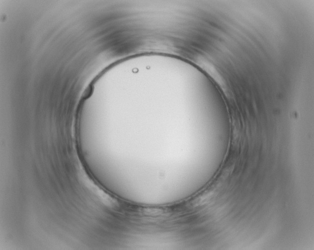 X0000089421339200707061309