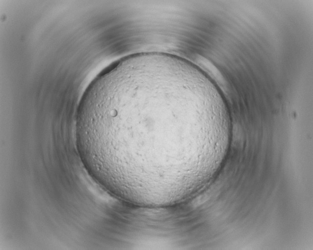 X0000089421340200707061309