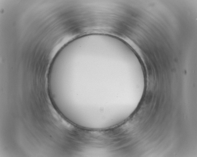 X0000089421341200707061309