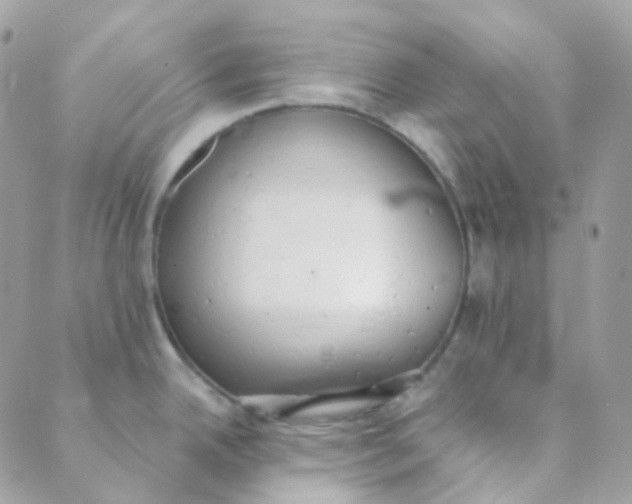 X0000089421342200707061309