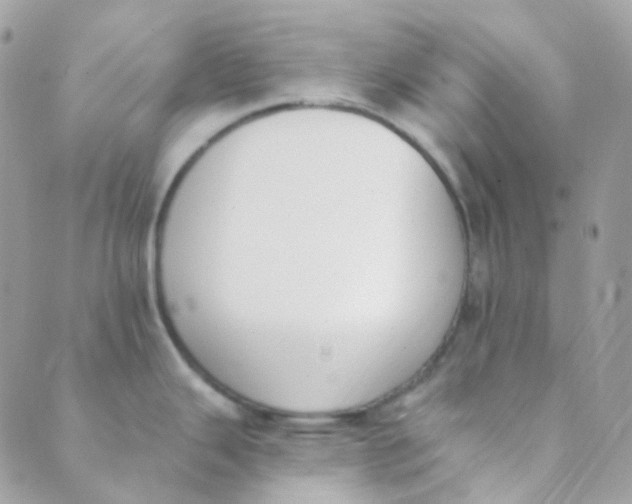 X0000089421343200707061309